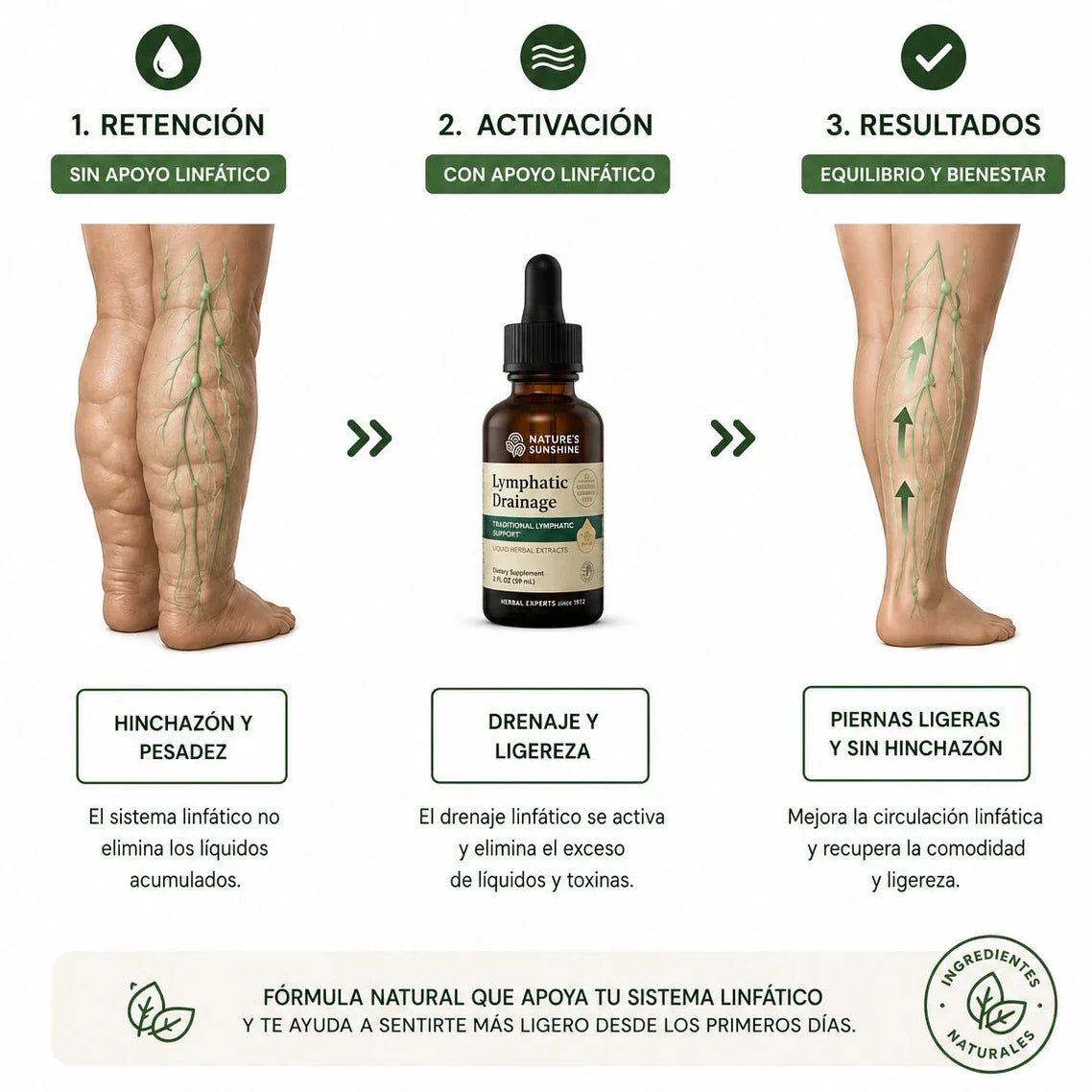 DRENAJE LINFÁTICO NATURAL ORIGINAL 😍 SUPER OFERTA