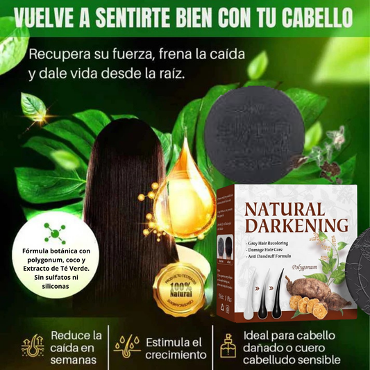 SHAMPOO EN BARRA EXTRACTO DE POLYGONUM ORIGINAL 🔥OFERTA 2X1 😍