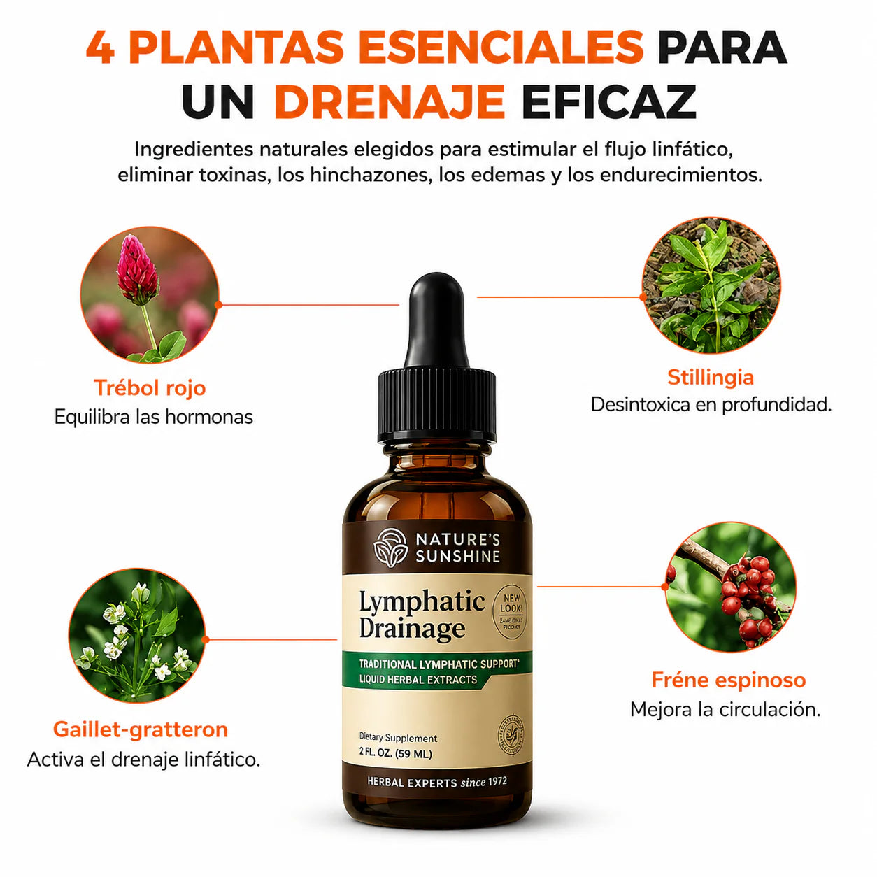 DRENAJE LINFÁTICO NATURAL ORIGINAL 😍 SUPER OFERTA