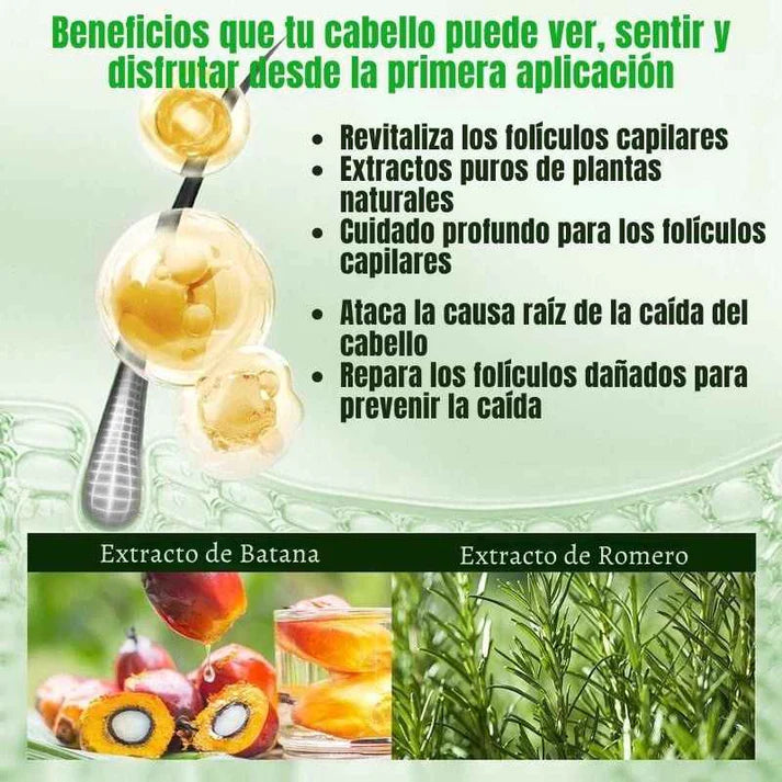 Shampoo de Batana con Extracto de Romero ORIGINAL 💥OFERTA BLACK DAY